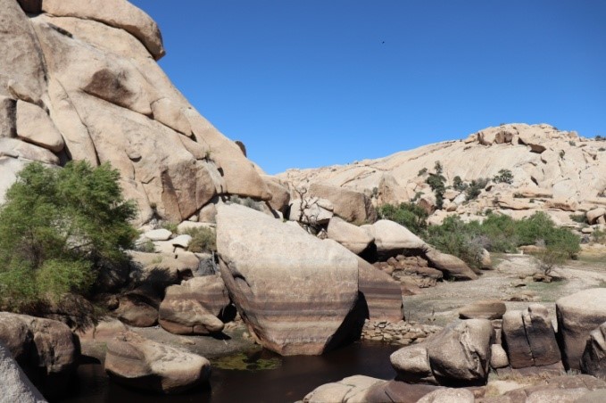 Hidden Valley Trail - Joshua Tree NP | ©Julie H.