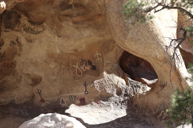 Hidden Valley Trail - Joshua Tree NP | ©Julie H.