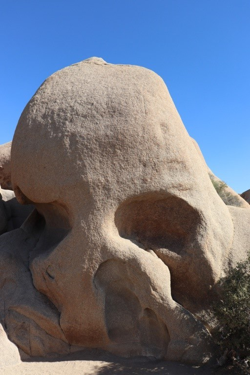 Joshua Tree NP | ©Julie H.