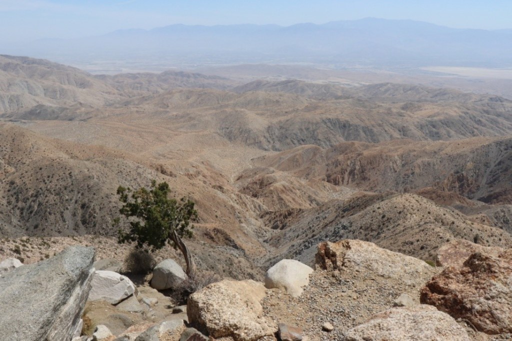 Joshua Tree NP | ©Julie H.