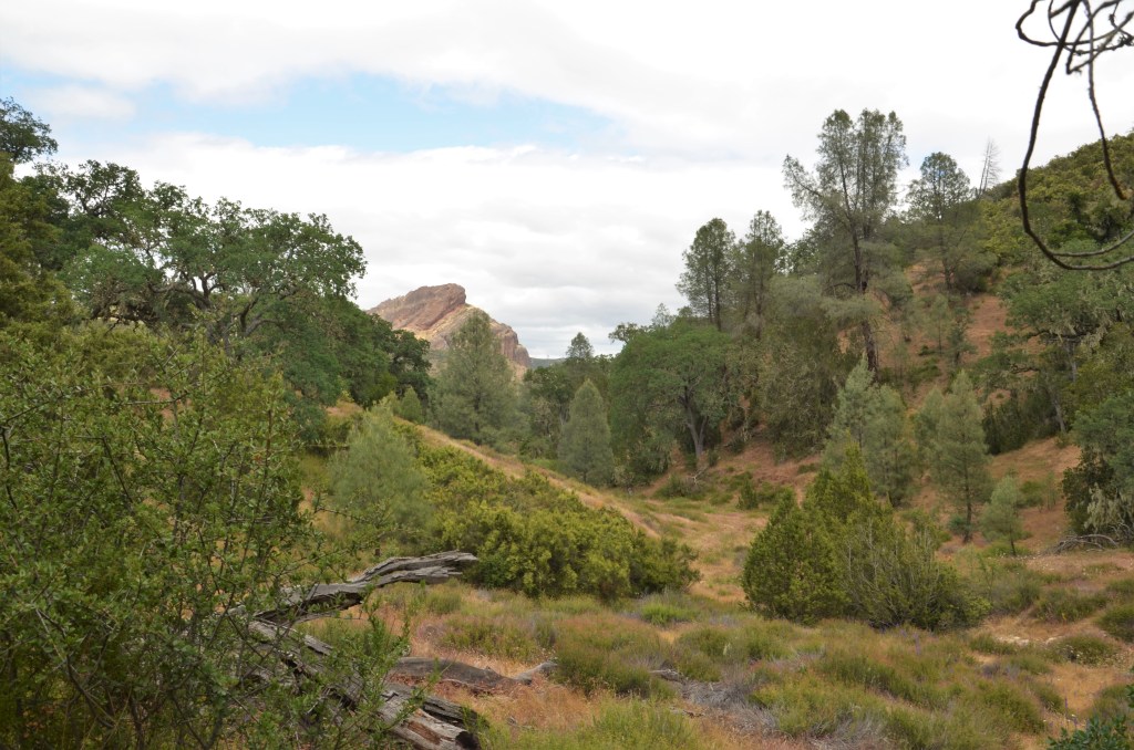 Pinnacle National Park | © A. Callens
